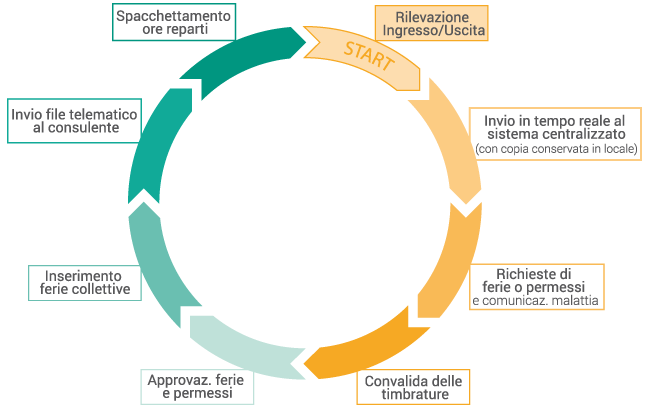 Flusso operativo software gestione risorse umane